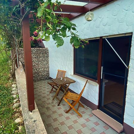 Gemuetliche Wohnung Mit Neckarblick Eberbach  Ngoại thất bức ảnh